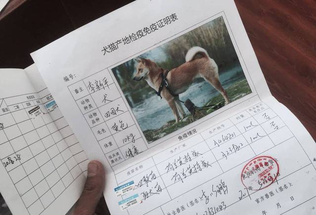 带狗狗旅行要什么证件