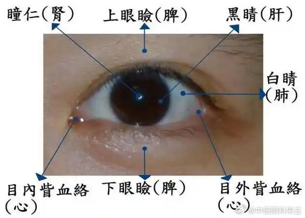 眼右边的字念什么缩略图