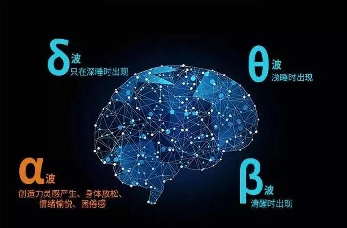 人脑能量的唯一来源是缩略图