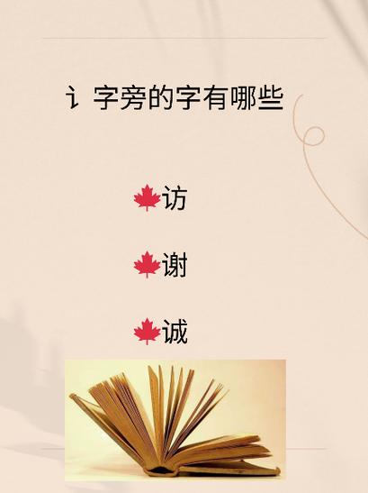 讠字旁的有哪些