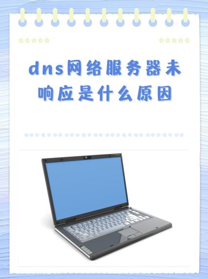 网络上s是什么意思