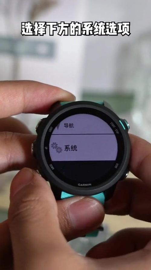 佳明手表抬手亮功能怎么设置缩略图