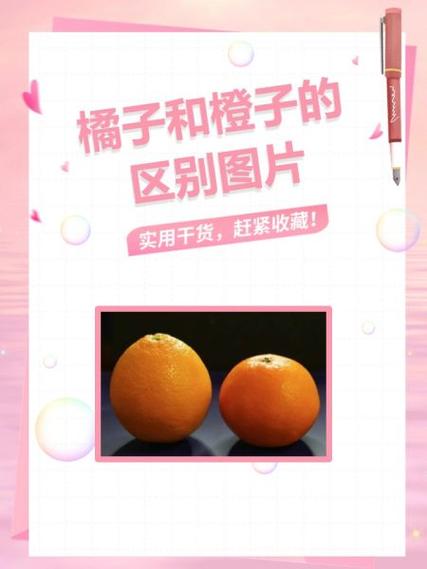 上供橘子好还是橙子好