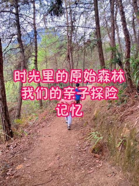 我有一片原始森林免费阅读截图