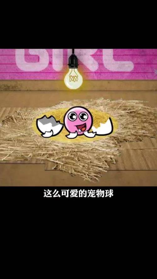 养只宠物球手机版在线玩
