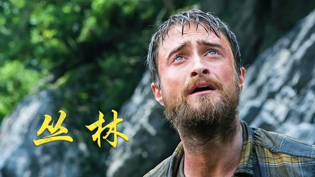 台湾电影《丛林》图标