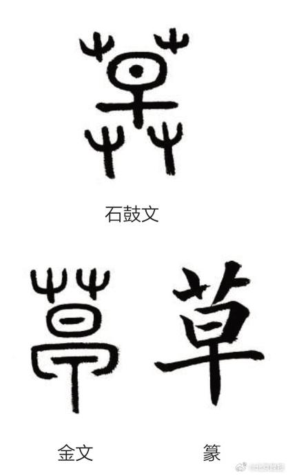 白加草字头可以组什么字