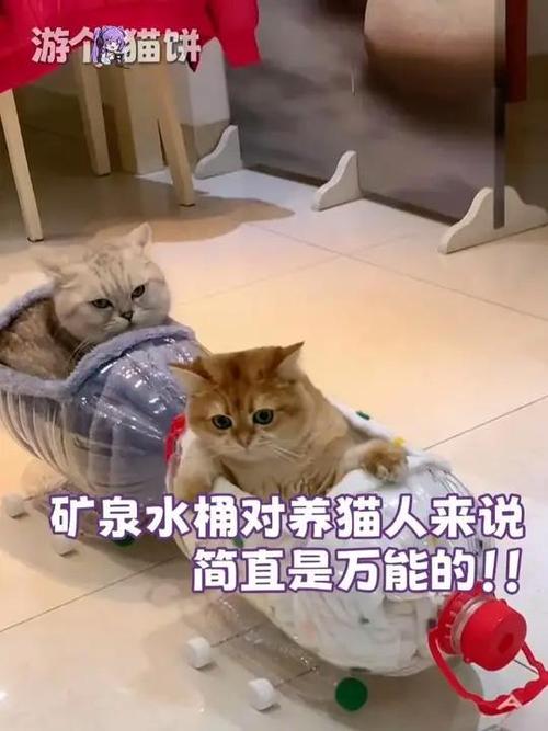 大矿泉水桶制作喂猫粮