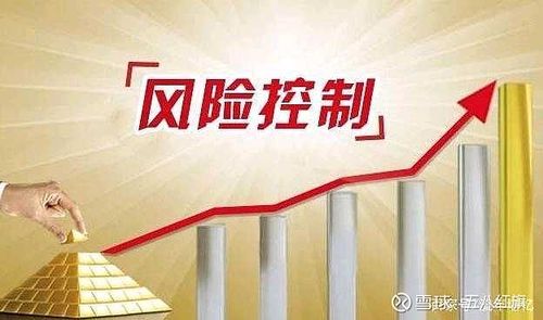 项目投资风险规避报告