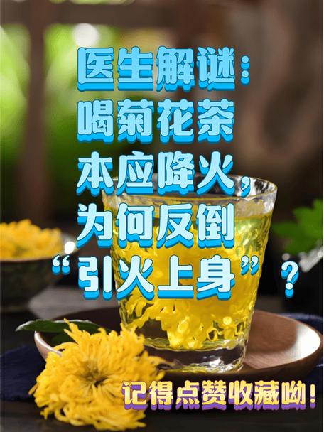 菊花怎么喝下火