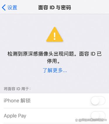 苹果的面容id不能用了