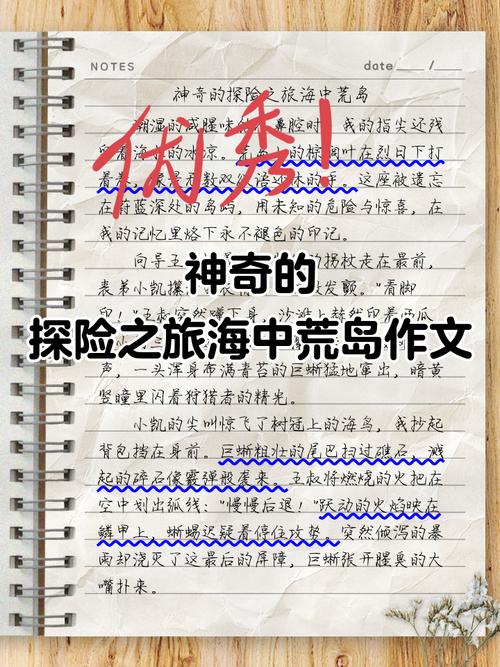 岛主的旅行日记