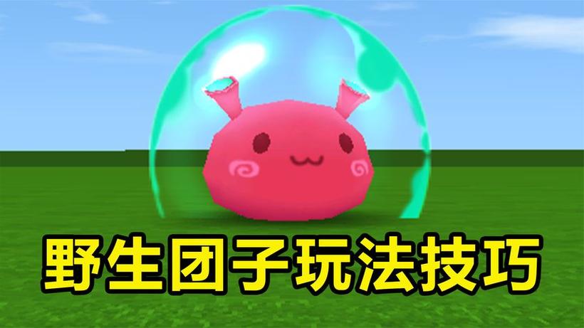 迷你世界新版本团子怎么驯服