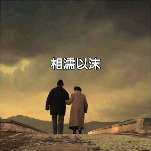 相儒以沫