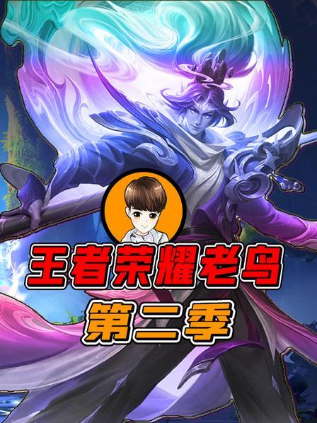 王者荣耀老鸟视频