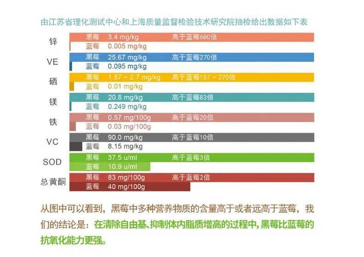 黑莓作用与功效