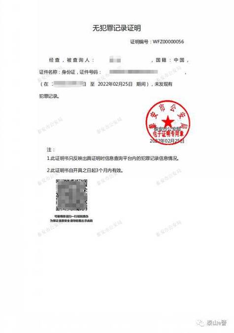 爱山东app无犯罪记录证明
