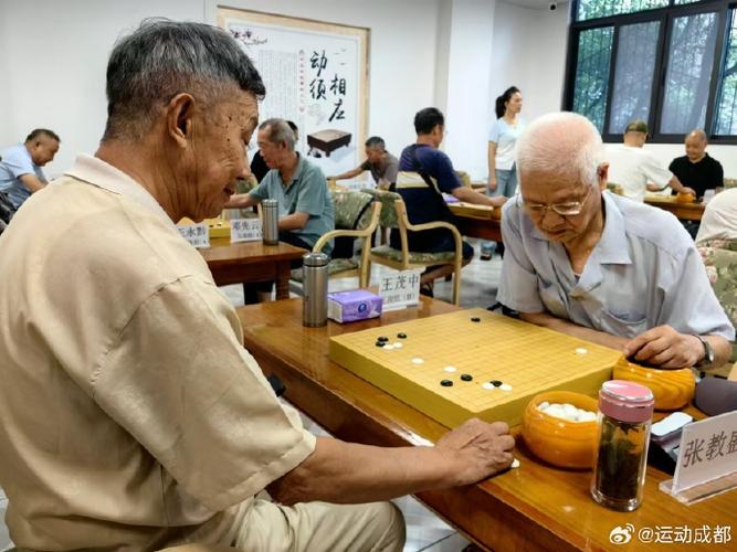 70岁老人学围棋的后果截图