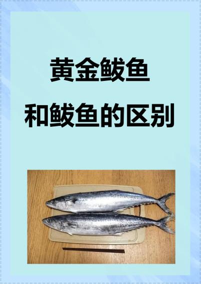 黄金鲅鱼有鱼鳞吗