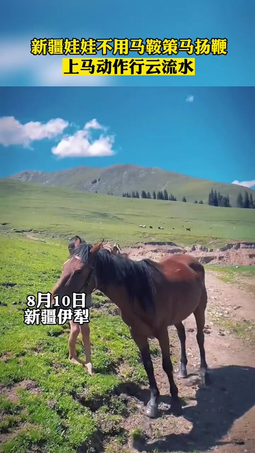 没有马鞍怎么上马