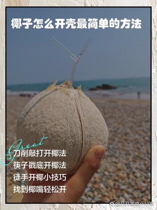 荒岛求生修改贝壳教程