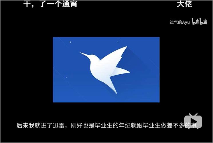 迅雷极简融合版