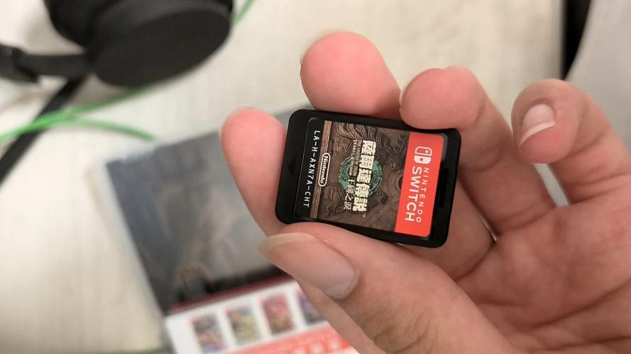 塞尔达dlc有实体卡带吗截图