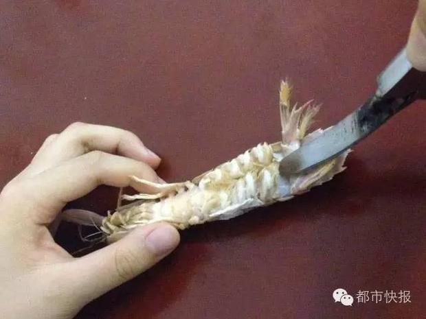 皮皮虾无水印小工具图标
