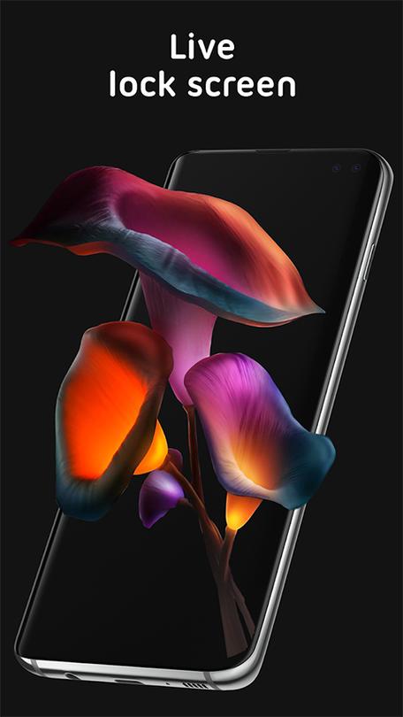 pixel 4d壁纸app图标