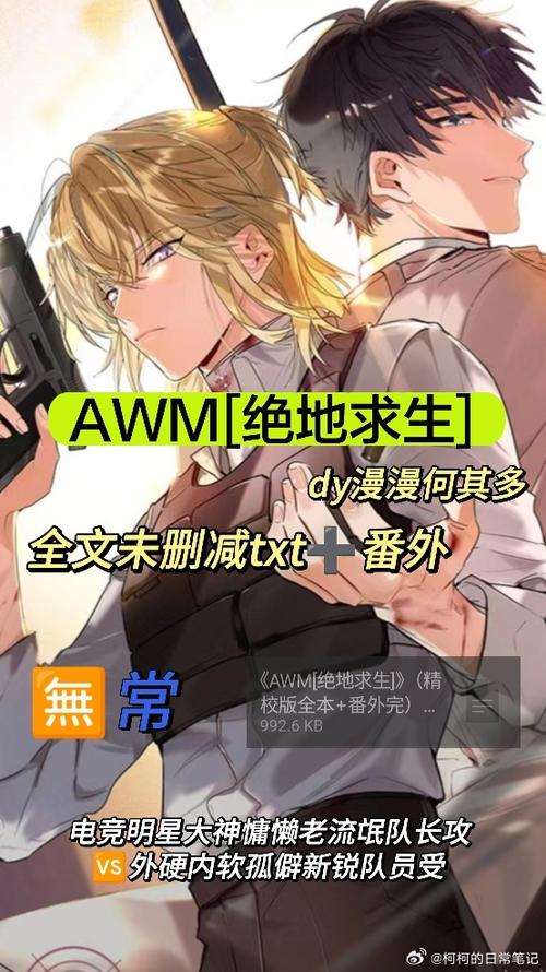 AWM绝地求生TXT免费下载全本图标