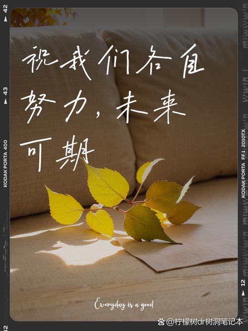 未来可期的意思图标
