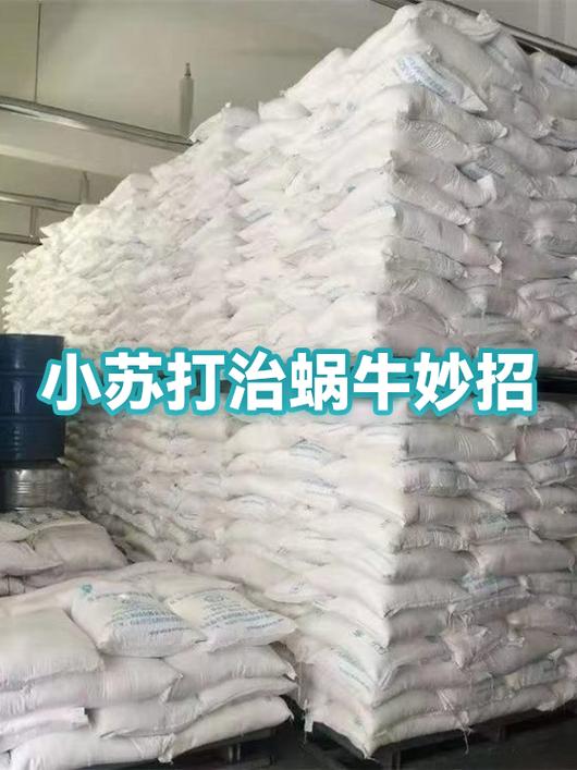 蜗牛的神奇功效图标