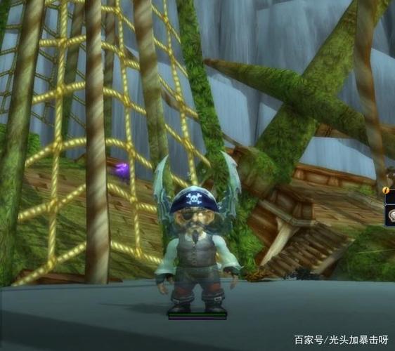 魔兽世界布尔吉的海盗帽