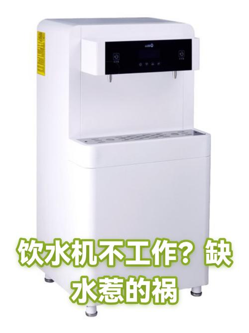 饮水机上面显示缺水,放不出来什么问