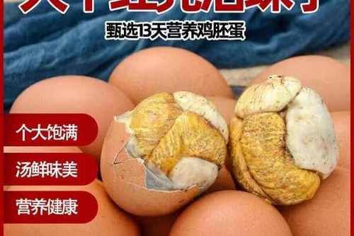 毛鸡蛋批发联系方式缩略图