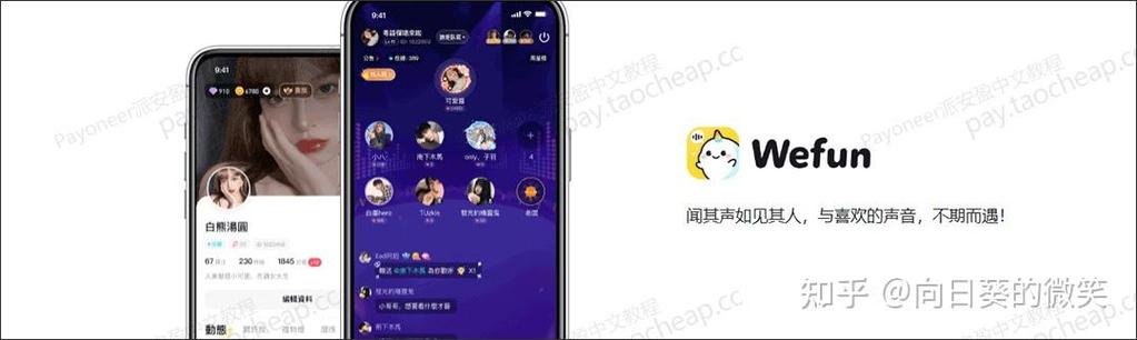 海外WeFun语音软件截图