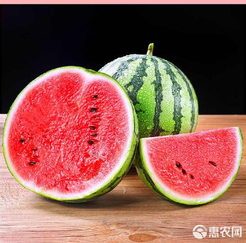 西瓜广告布麒麟瓜游戏截图