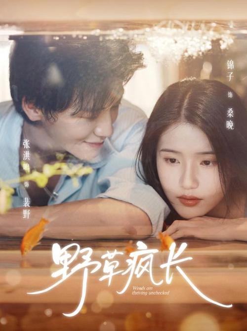 江湖假道士,最后一个修仙者截图