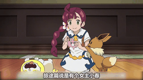 精灵宝可梦全部女主角