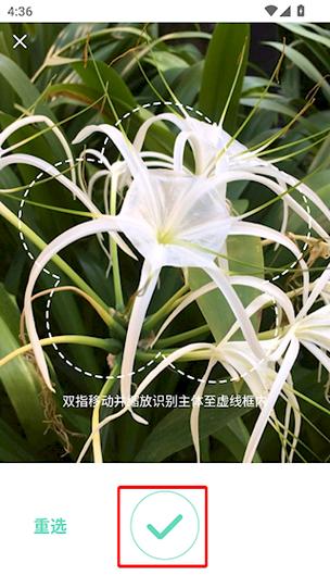 形色识花app官方下载新闻