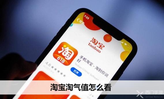 主页上不显示淘气值
