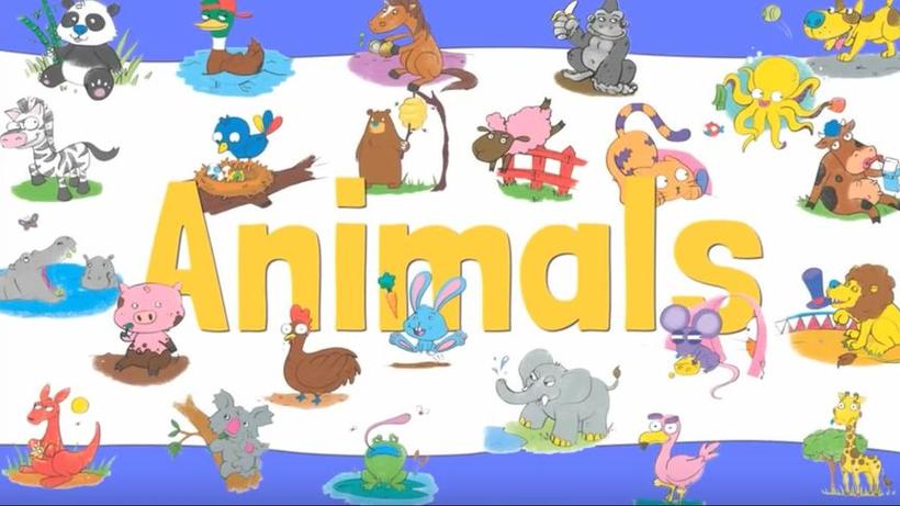 animals英语怎么读