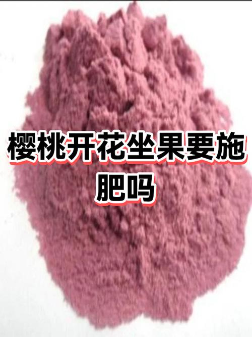 樱桃落花后多久能浇水截图