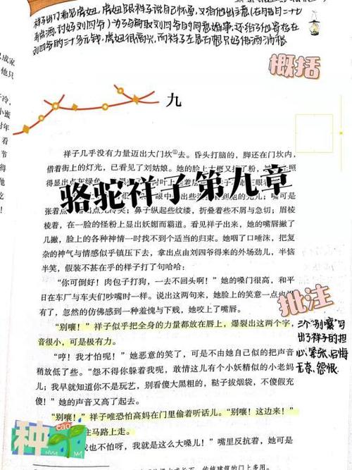 骆驼祥子的主旨概括