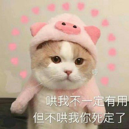 我死定了表情包
