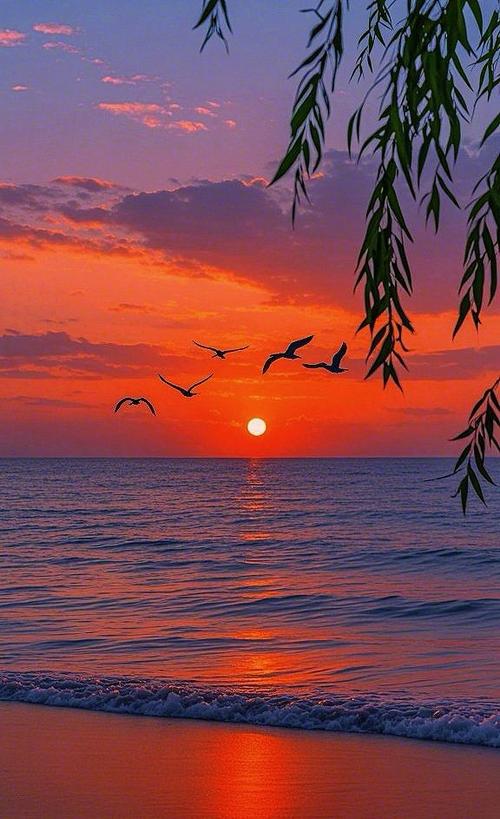 拍摄佳能拍夕阳晚霞的相机参数图标