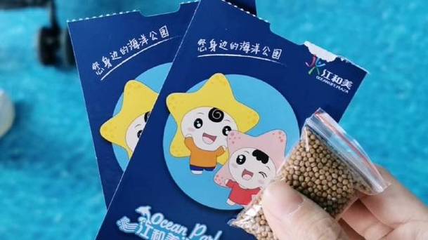 萌娃养成日记兑换码截图