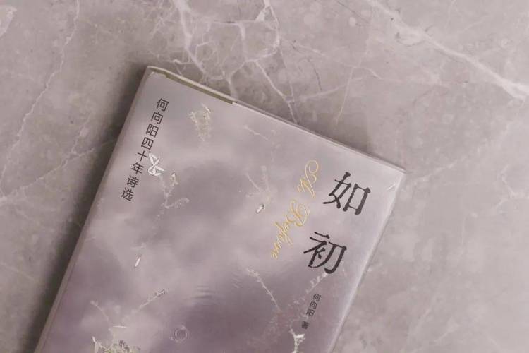 如初伴读小说夜