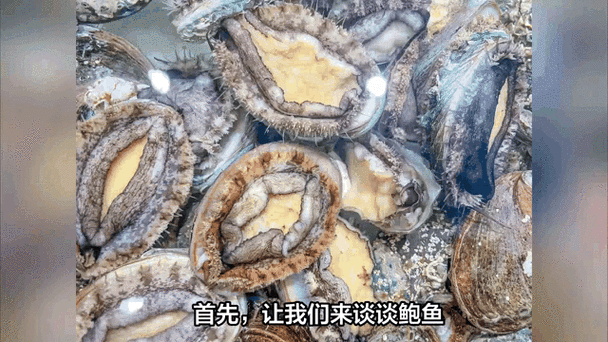 4月份应季海鲜