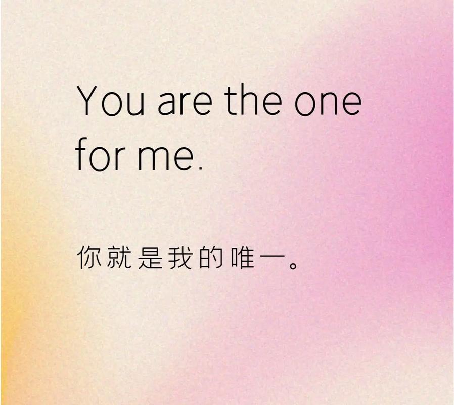 唯一用英语怎么说